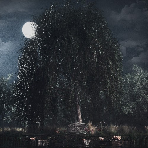 UnderTheWillowTree封面