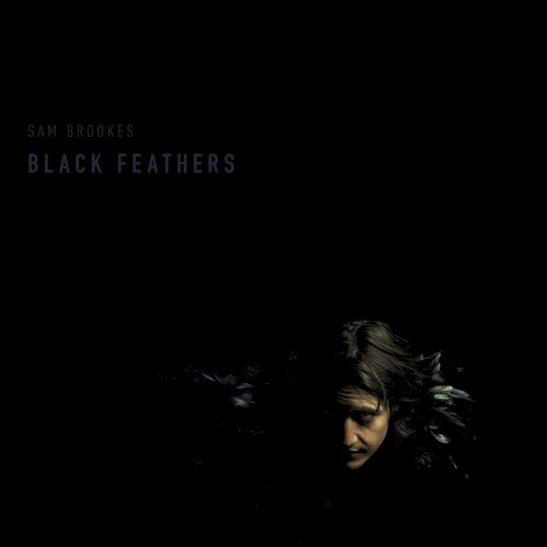 Black Feathers封面