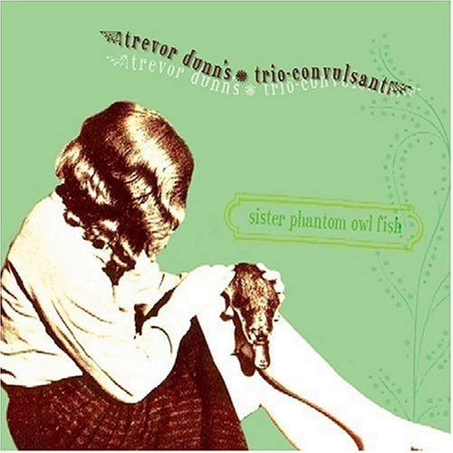 Sister Phantom Owl Fish封面