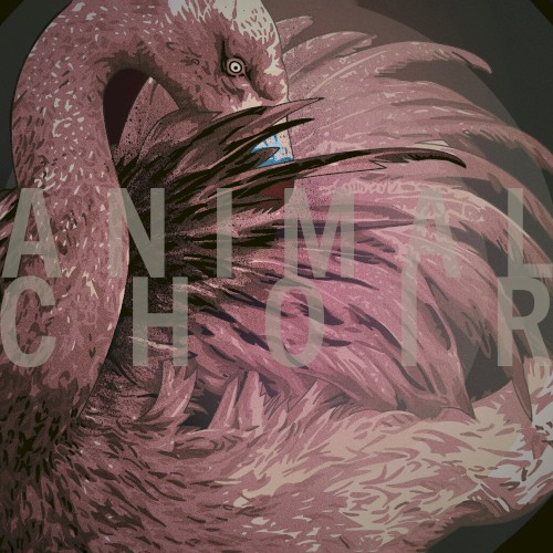 Animal Choir封面