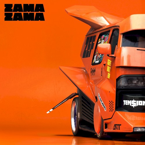 ZAMA ZAMA封面
