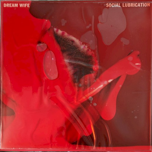 Social Lubrication封面