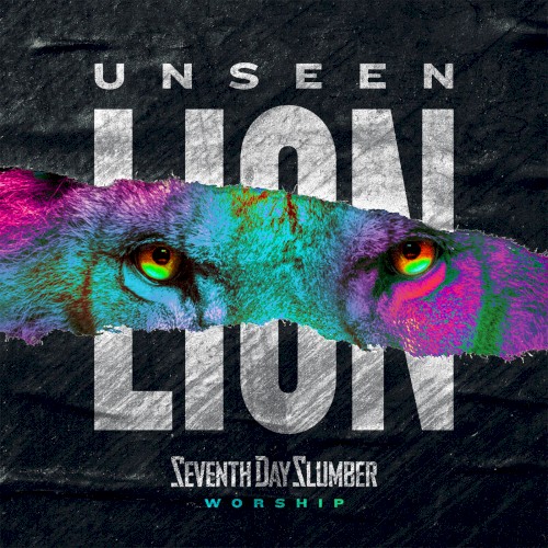 Unseen: The Lion封面