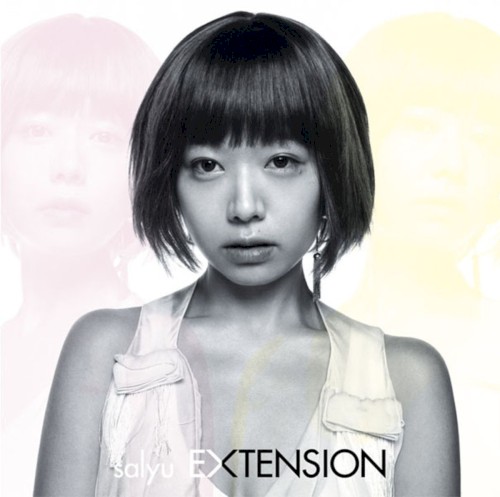 EXTENSION封面