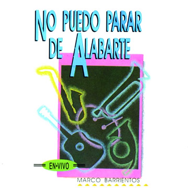 No puedo parar de alabarte封面