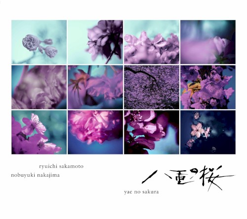 NHK 大河ドラマ ｢八重の桜｣ オリジナル･サウンドトラック コンプリート盤封面