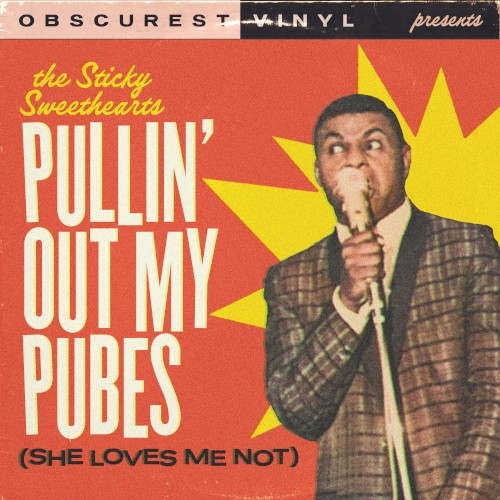 Pullin’ Out My Pubes (She Loves Me Not)封面