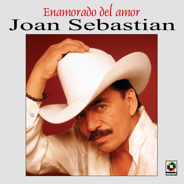 Enamorado del amor封面