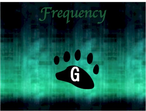 Frequency封面