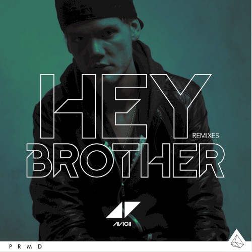 Hey Brother (remixes)封面