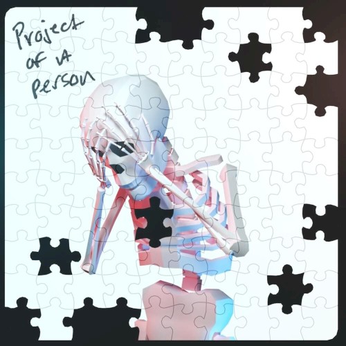 Project of a Person封面