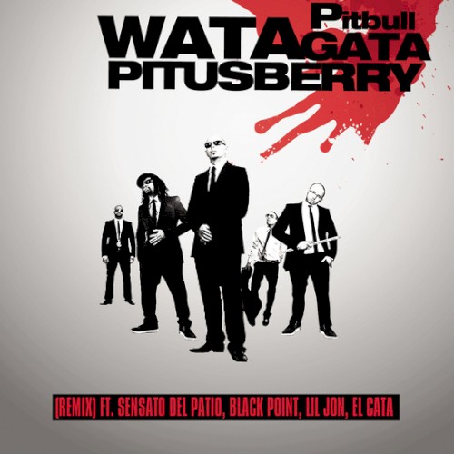 Watagatapitusberry (remix)封面