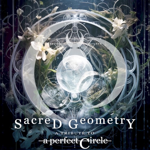Sacred Geometry (A Tribute to A Perfect Circle)封面