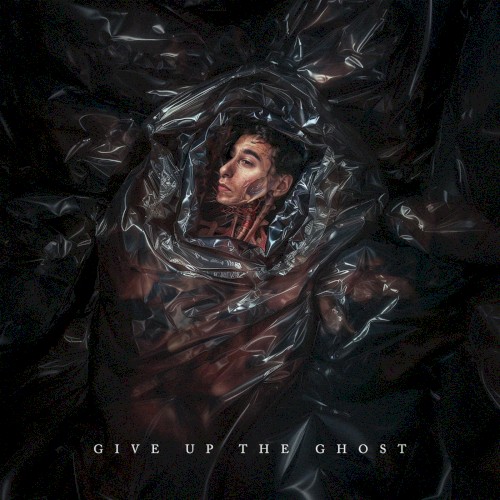 Give Up The Ghost封面