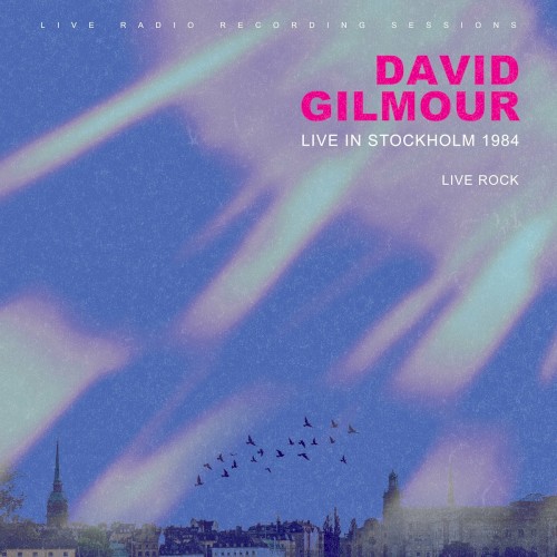 David Gilmour: Live in Stockholm 1984封面
