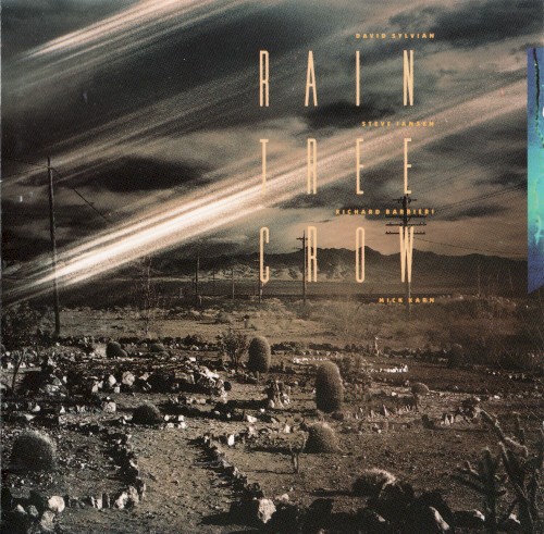 Rain Tree Crow封面