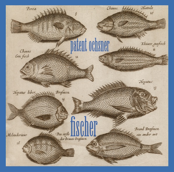 Fischer封面