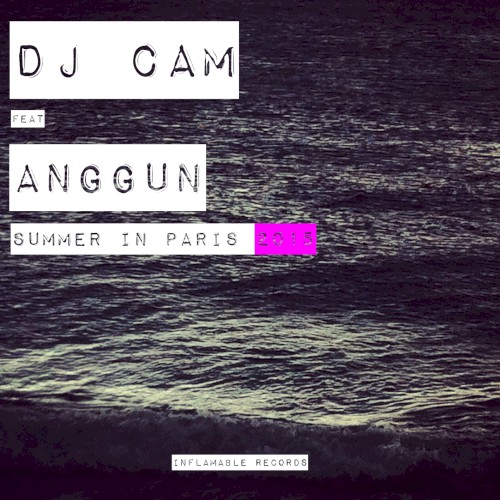 Summer in Paris 2015封面