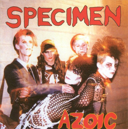 Azoic封面