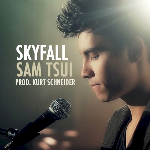 Skyfall封面