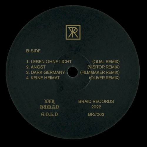 G.O.L.D / Technofossil Remix Split封面