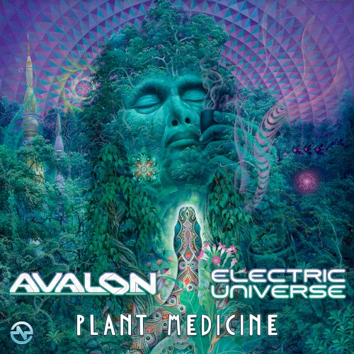 Plant Medicine封面