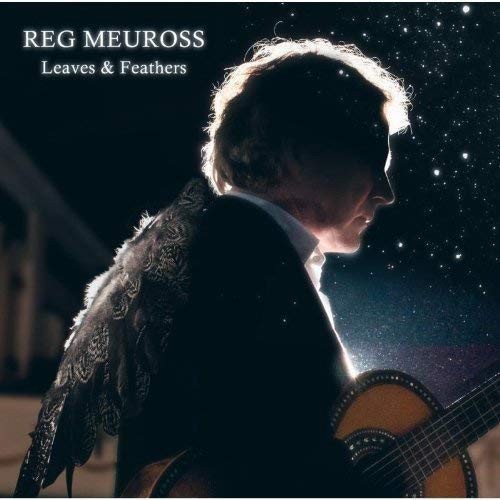 Leaves & Feathers封面