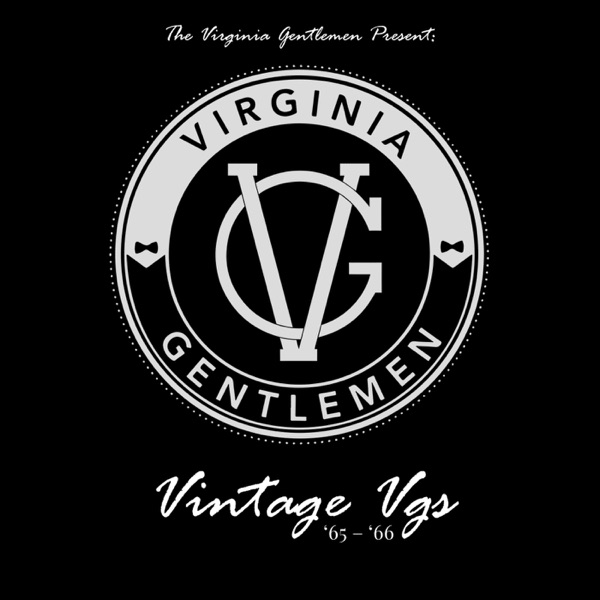 Vintage Vgs封面