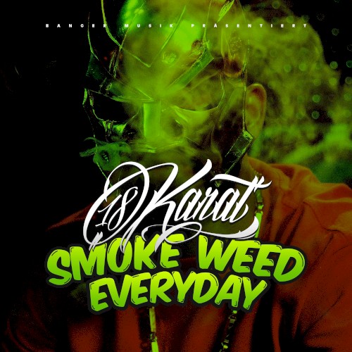 Smoke Weed Everyday封面