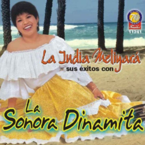 Sus éxitos con La Sonora Dinamita封面