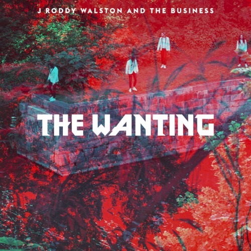 The Wanting封面
