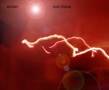 Scar Tissue封面
