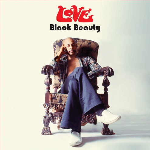Black Beauty封面