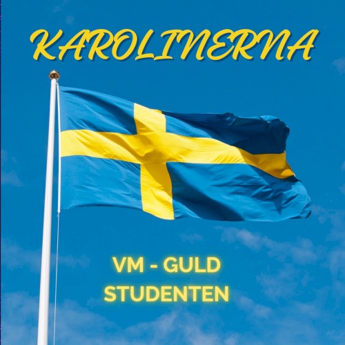 VM‐GULD & STUDENTEN封面