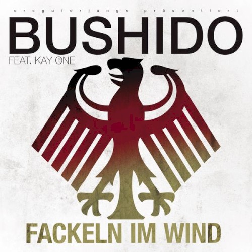 Fackeln im Wind封面