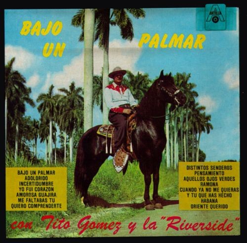 Bajo un palmar封面