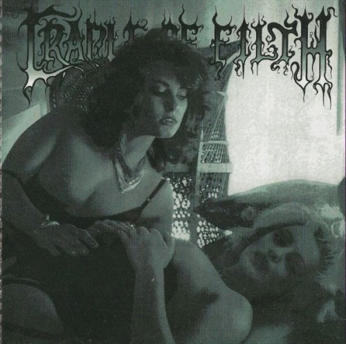 Sodomizing the Virgin Vamps封面