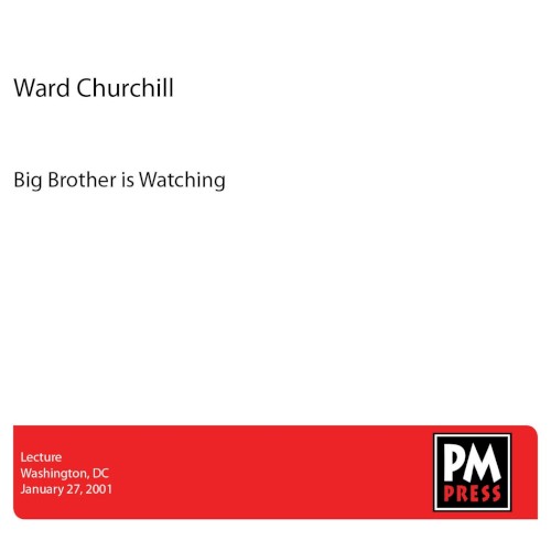 Big Brother Is Watching封面