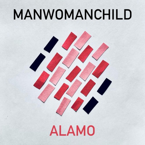 Alamo封面