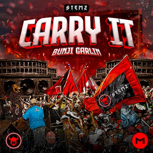 Carry It封面