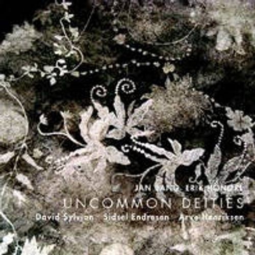 Uncommon Deities封面