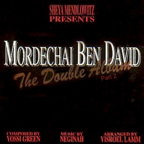 The Double Album封面