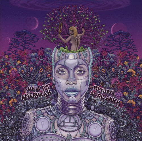 New Amerykah, Part Two (Return of the Ankh)封面