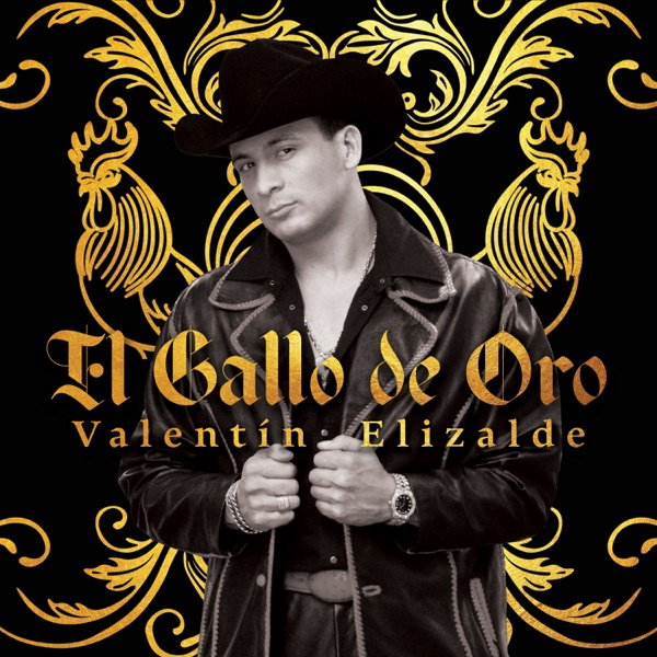 El Gallo De Oro封面