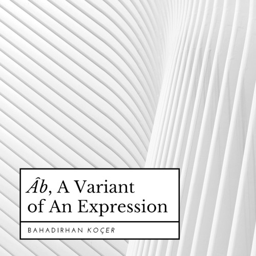 Âb, a Variant of an Expression封面