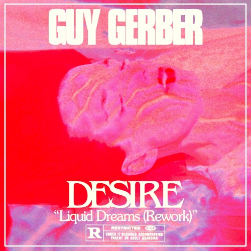 Liquid Dreams (Guy Gerber Rework)封面