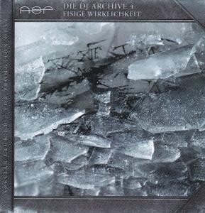 Die DJ-Archive 4: Eisige Wirklichkeit封面