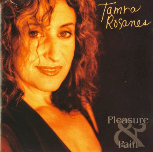 Pleasure & Pain封面