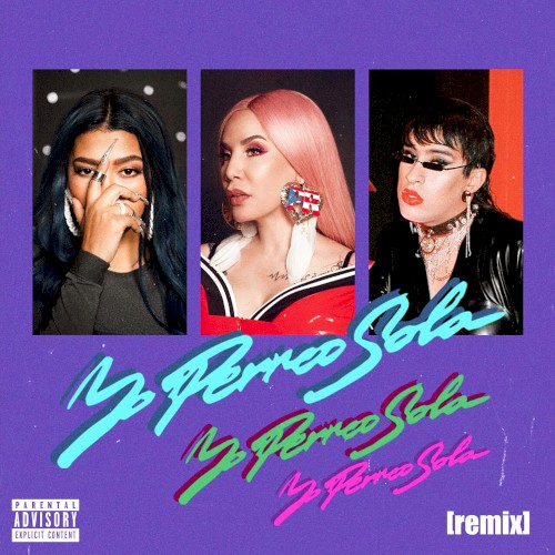 Yo perreo sola (remix)封面