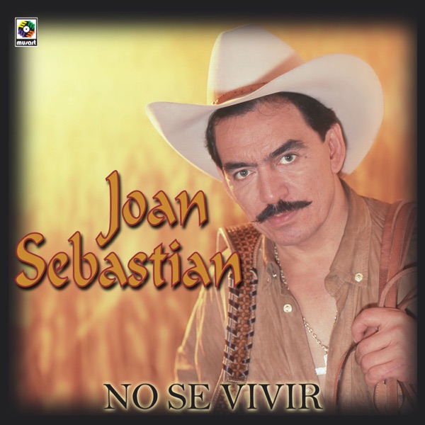No sé vivir封面